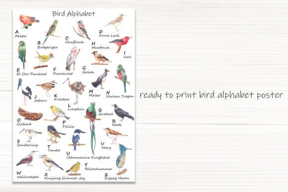 Bird Alphabet Watercolor Abc Poster: A Unique Educational and Decorative Resource