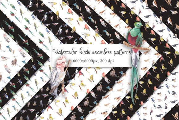Birds Seamless Patterns Watercolor Paper