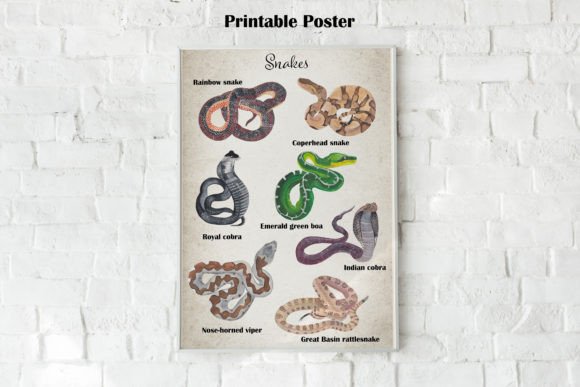 Snakes Printable Poster: A Unique Addition to Educational and Decorative Spaces